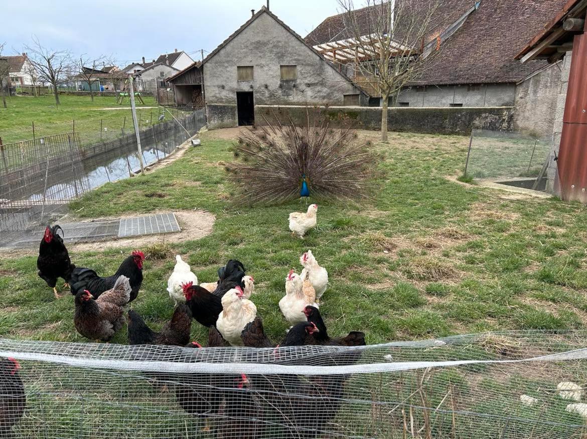 Maison Au Sein D'Une Ferme Villa Rahling Esterno foto