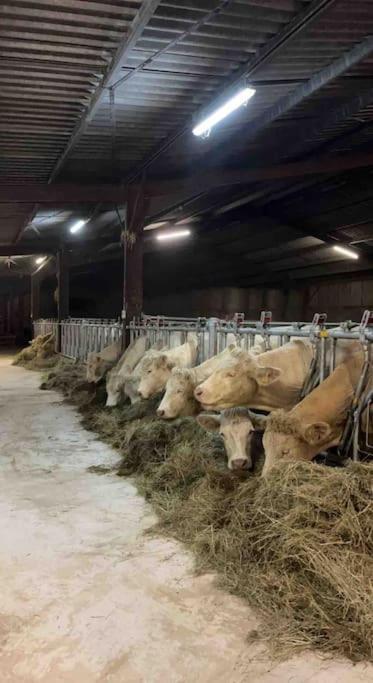 Maison Au Sein D'Une Ferme Villa Rahling Esterno foto